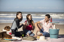 Load image into Gallery viewer, Keter Go Bar Cooler 16L - Fame Drinks