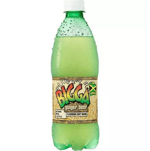 Bigga Soft Drink 600ml (1 x 12) - Fame Drinks